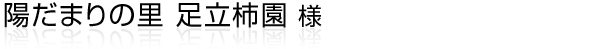 浜松市浜名区大平（おいだいら）にて柿農家をされている“足立柿園”様