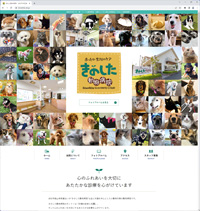 浜松市中区舘山寺街道沿いにある、犬・猫・ペットの動物病院“きのした動物病院様