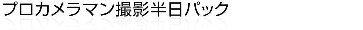 プロカメラマン撮影半日パック