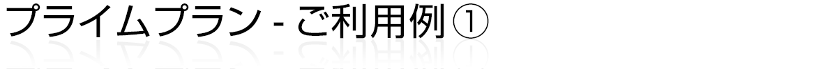 プライムプラン-ご利用例 1