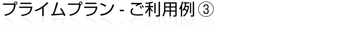 プライムプラン-ご利用例 3