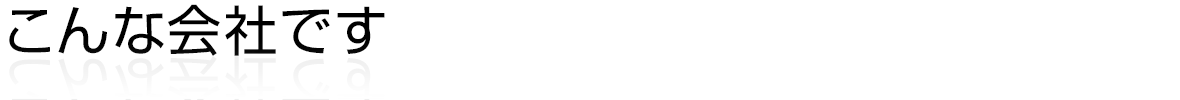 こんな会社です